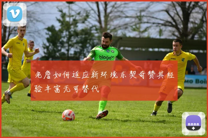 老詹如何适应新环境东契奇赞其经验丰富无可替代