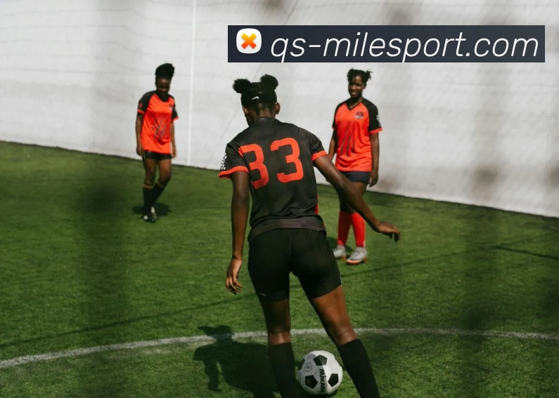 米乐足球平台生态图